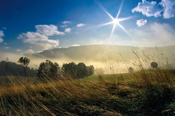 Abwaschbare Fototapete mgła © pawelherman