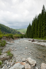 Obraz premium Cold mountain river passing through green forest