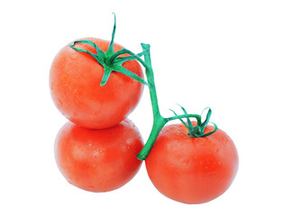 Three tomato isolated