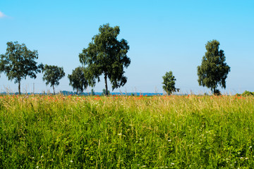 East Prussia Landscape