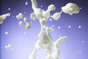 Obraz na płótnie Canvas milk splash on blue background