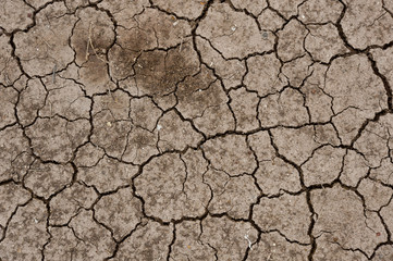 Dry ground texture