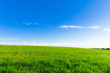 Heavenly Green Fields