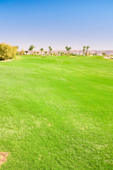 Background Outdoor Course