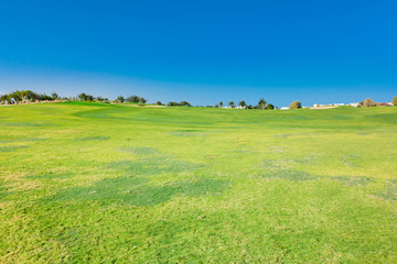 Wide Green Fairway