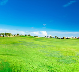 Golf Club Landscape