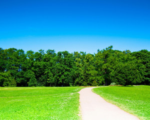 Race Trip Road