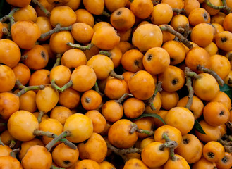 Fresh Organic Loquats