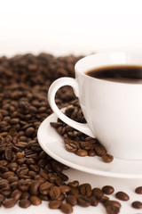 Fototapeta premium cup of coffee
