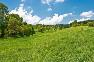 Green meadow in the hills