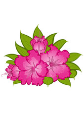 Flowers on background