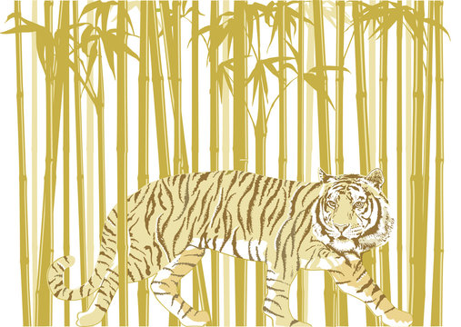 Tiger im Bambuswald