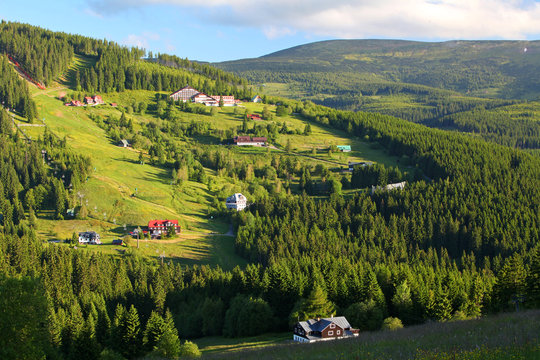 Beautiful green landscape of a mountain.