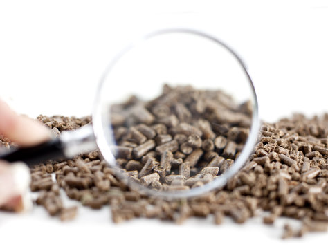 analyse sous la loupe de combustible