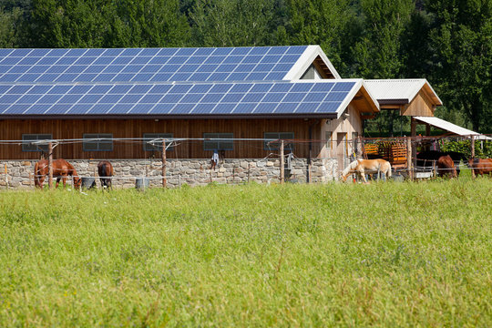 Solar Ranch