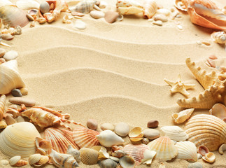 Fototapeta na wymiar sea shells with sand as background