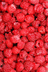 Raspberries