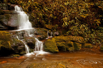 Obraz premium forest Waterfall
