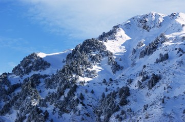 Naklejka premium Montagne