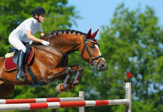 Equestrian jumper - horsewoman and bay mare