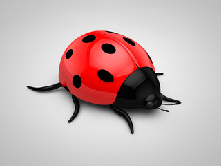 Fototapeta premium 3d Ladybird