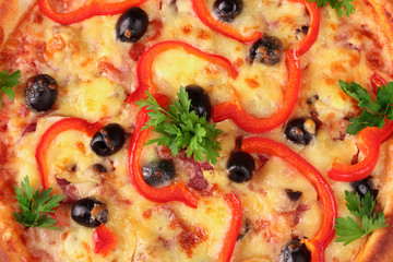 tasty pizza with olives