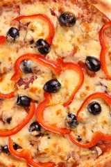tasty pizza with olives