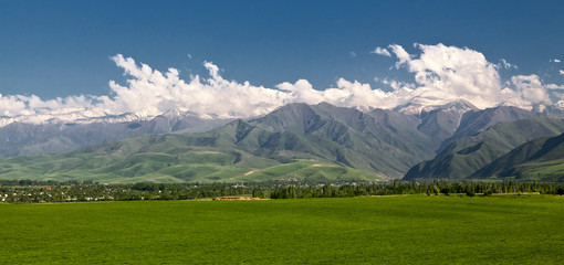 Fototapeta premium Panoramic mountain landscape with a green field