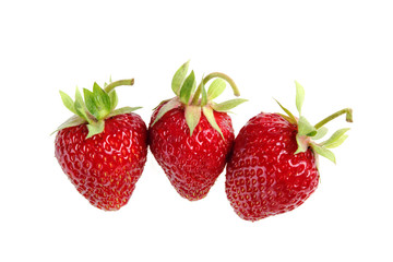 Red strawberry
