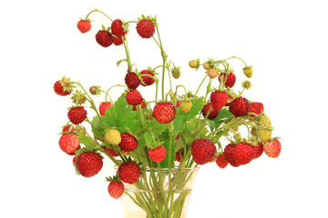 Wild strawberry