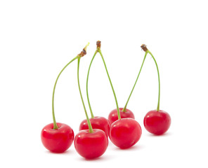 cherry