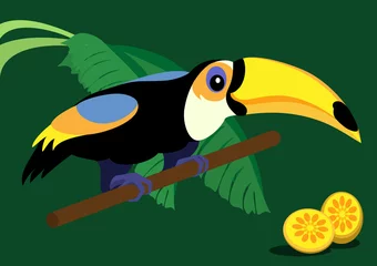 Fototapete Vögel, Bienen Lustiger Cartoon-Tukan auf grünem Hintergrund