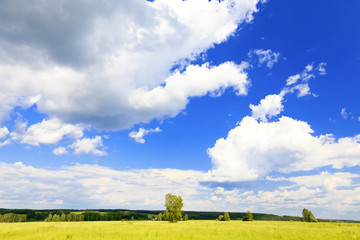 Cloudscape over Green Fields