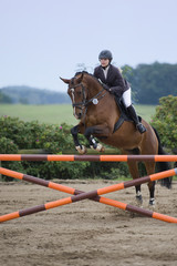 Springreiten
