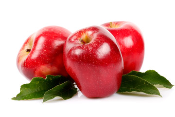 Mele Rosse del Trentino