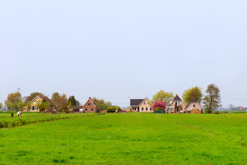 Obraz premium Farmhouses in Holland