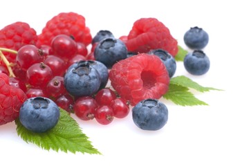 Beerenfrüchte