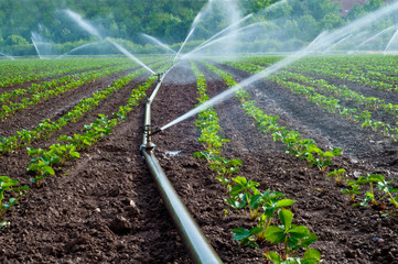 Agriculture water spray
