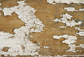 Wooden background