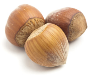 hazelnuts