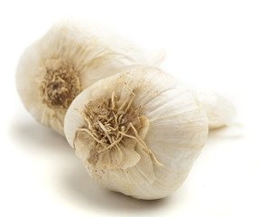 garlic bulbs