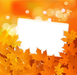 Naklejka na ściany i meble vector autumn background with leaves and a greeting card