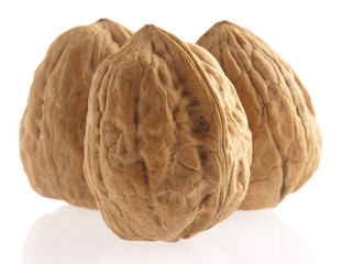 walnut