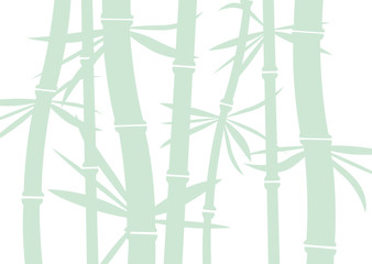 Fototapeta na wymiar vector bamboo background