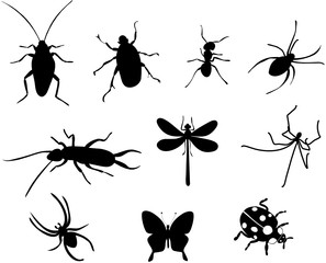 Insekten Vektor Set