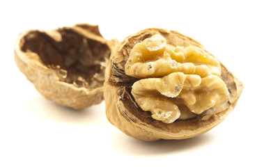 unshelled nut