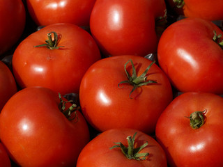 Tomatoes