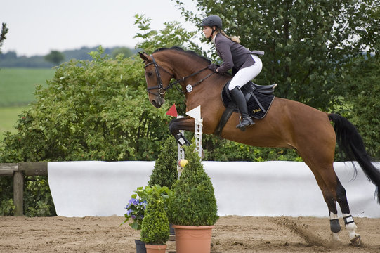 Springreiten