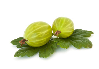 Gooseberry