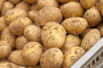 Kartoffeln